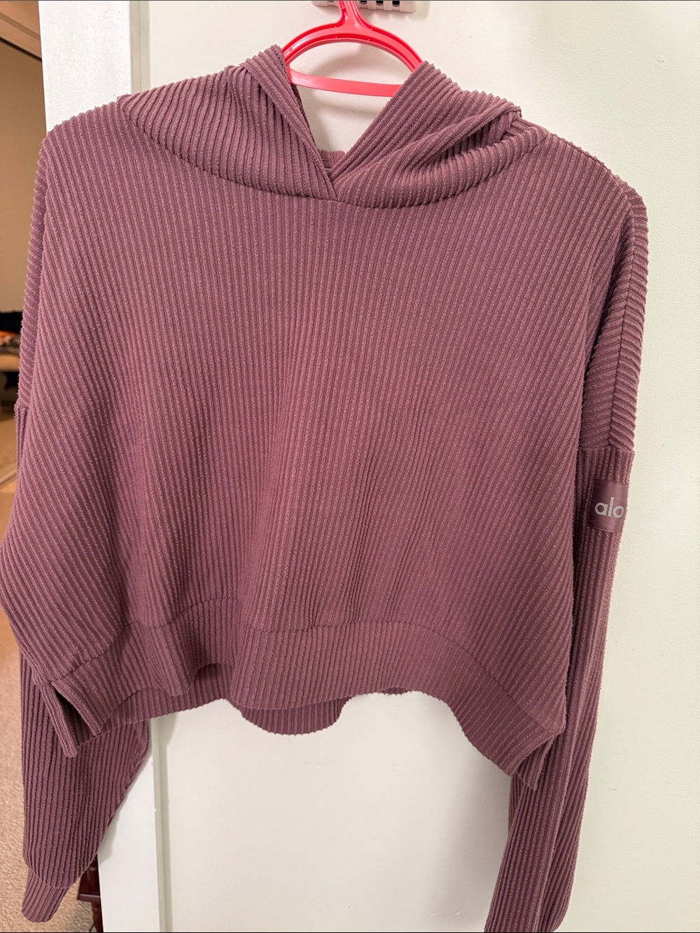 ALO Yoga Ribbed Cropped Hoodie in Mauve